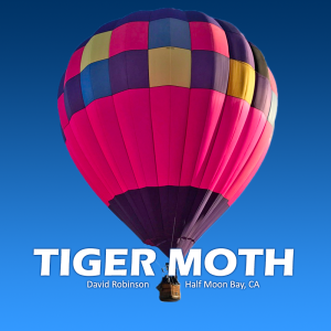 Tiger Moth