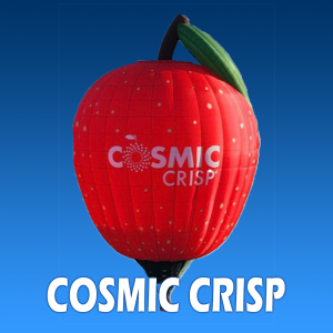 Cosmic Crisp