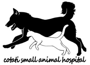 Cotati Small Animal Hospital